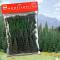 Busch Assort. Sapins 65 pc 75-135mm
